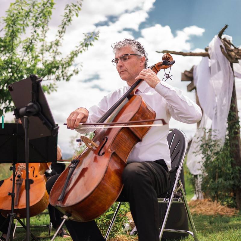 Cellist spielt w&auml;hrend der Trauung unter freiem Himmel